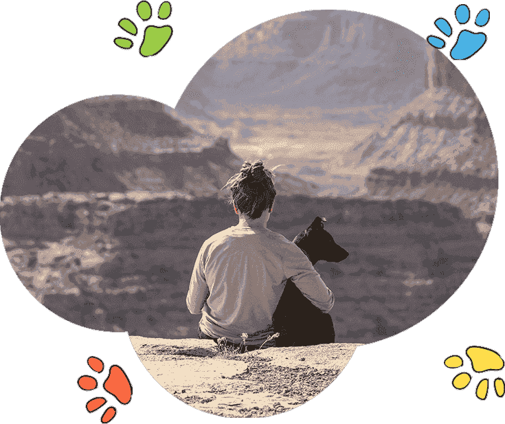 绿色轰炸工具版