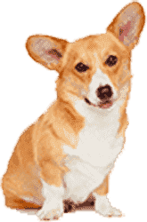 短信电话免费轰炸网站