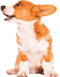 轰炸手机号码软件