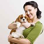 【常见问题解答】详细说明的电话压测网站